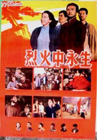 定制田纳西州驾驶证